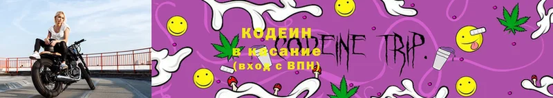 купить закладку  Дальнегорск  Кодеин Purple Drank 