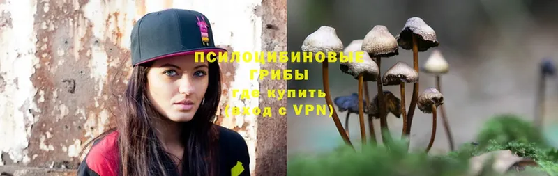 Галлюциногенные грибы Magic Shrooms Дальнегорск